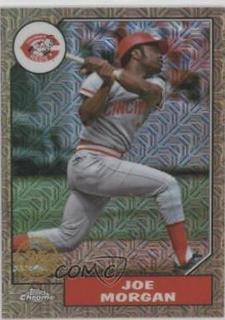 Joe Morgan