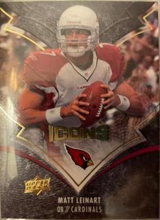 Matt Leinart