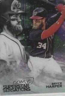 Bryce Harper