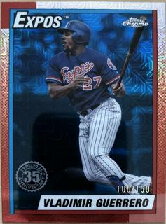 Vladimir Guerrero