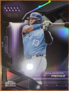 Salvador Perez