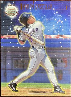 Vinny Castilla