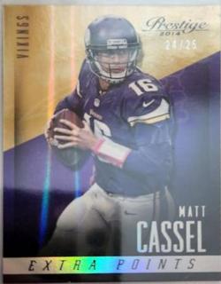 Matt Cassel
