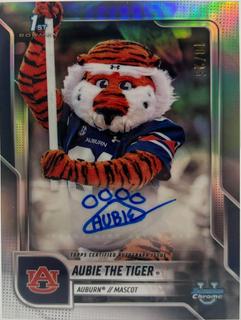 Aubie The Tiger