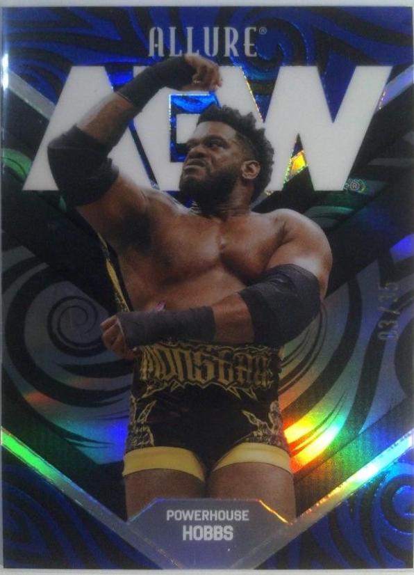 Powerhouse Hobbs [Black Blue] #48