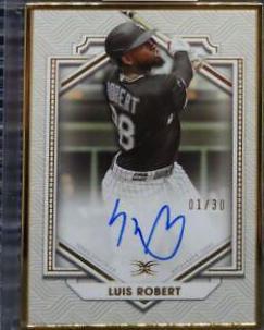 Luis Robert