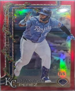 Salvador Perez
