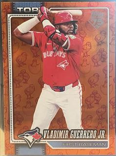 Vladimir Guerrero Jr.