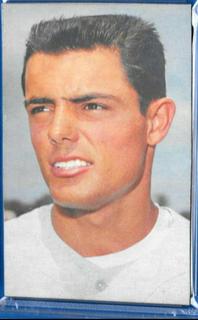 Lou Piniella