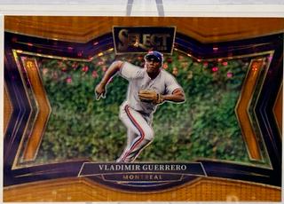 Vladimir Guerrero
