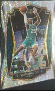 PJ Washington Jr.