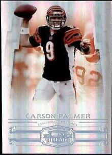 Carson Palmer
