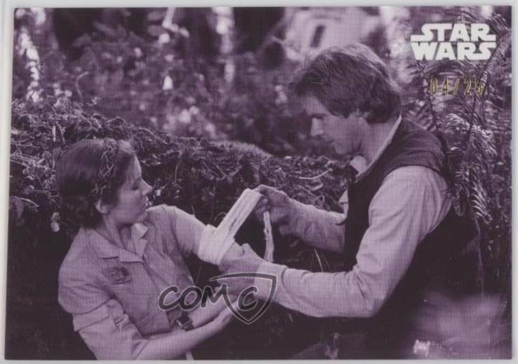 Han and Leia #81