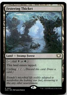 Festering Thicket
