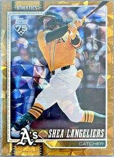 Shea Langeliers
