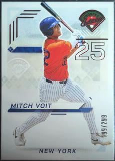 Mitch Voit