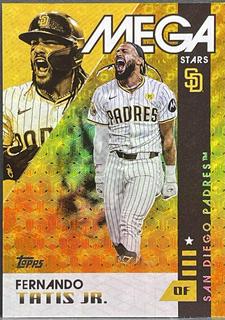 Fernando Tatis Jr.