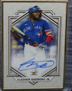 Vladimir Guerrero Jr.