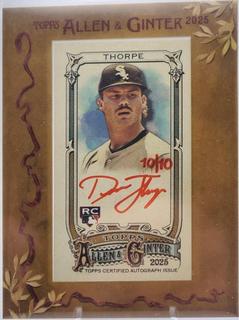 Drew Thorpe