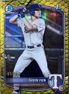 Gavin Fien