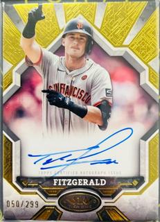 Tyler Fitzgerald