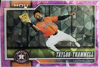 Taylor Trammell