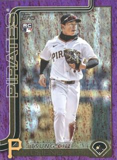 Tsung-Che Cheng