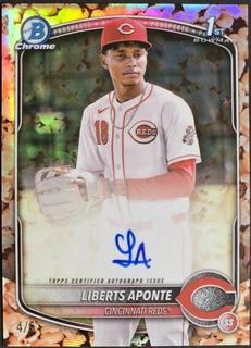 Liberts Aponte