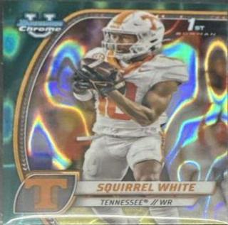 Squirrel White
