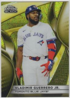 Vladimir Guerrero Jr.