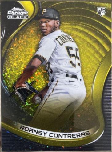 Roansy Contreras [Gold Mini Diamond] #81