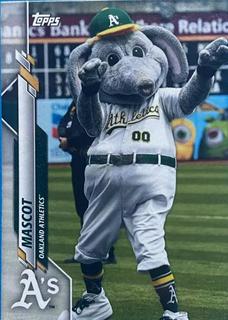 Mascot