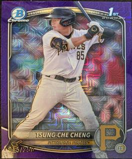 Tsung-Che Cheng