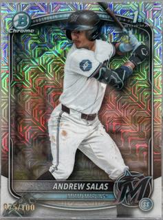 Andrew Salas