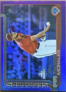 Yohandy Morales
