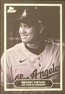 Shohei Ohtani