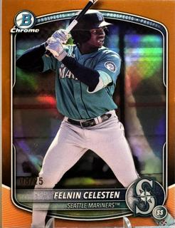 Felnin Celesten