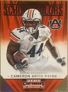 Cameron Artis Payne