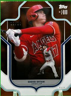 Shohei Ohtani