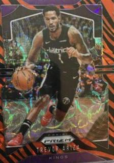 Trevor Ariza