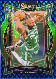 Jaylen Brown