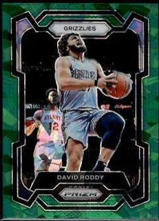 David Roddy