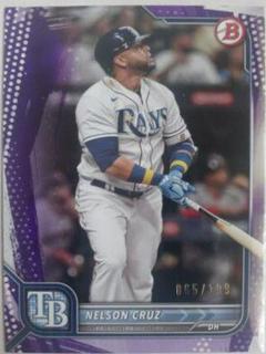 Nelson Cruz