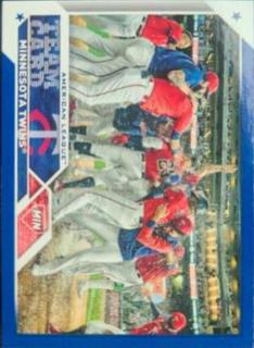 Minnesota Twins