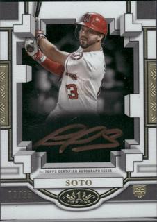 Livan Soto