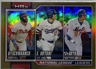 National League Leaders HRs