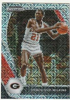 Dominique Wilkins