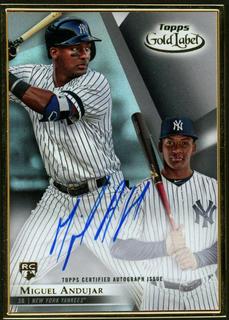 Miguel Andujar