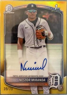 Nestor Miranda