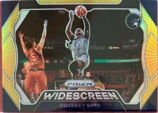 Odyssey Sims